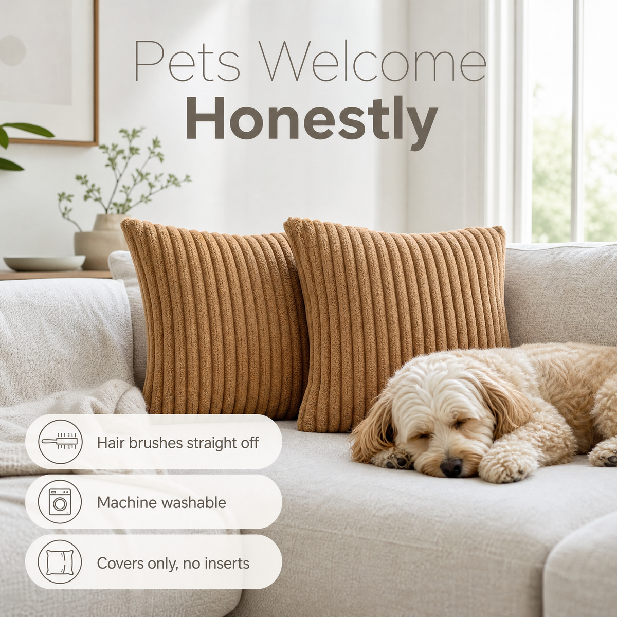 Camel plush cushions on a sofa with a dog asleep beside them