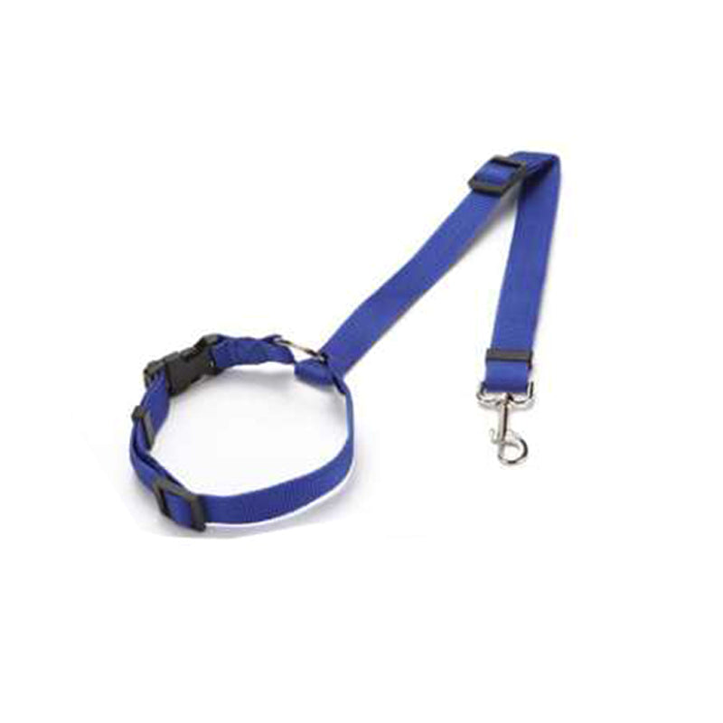 Dog Car Seat Belt in blue