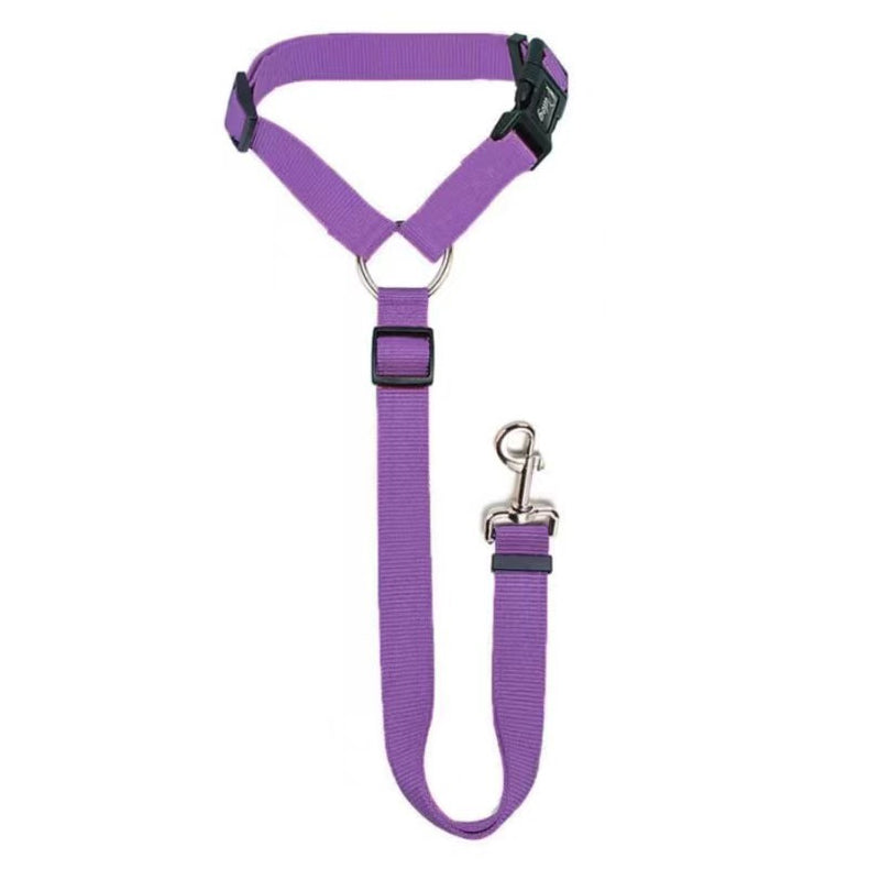 Dog Car Seat Belt in purple