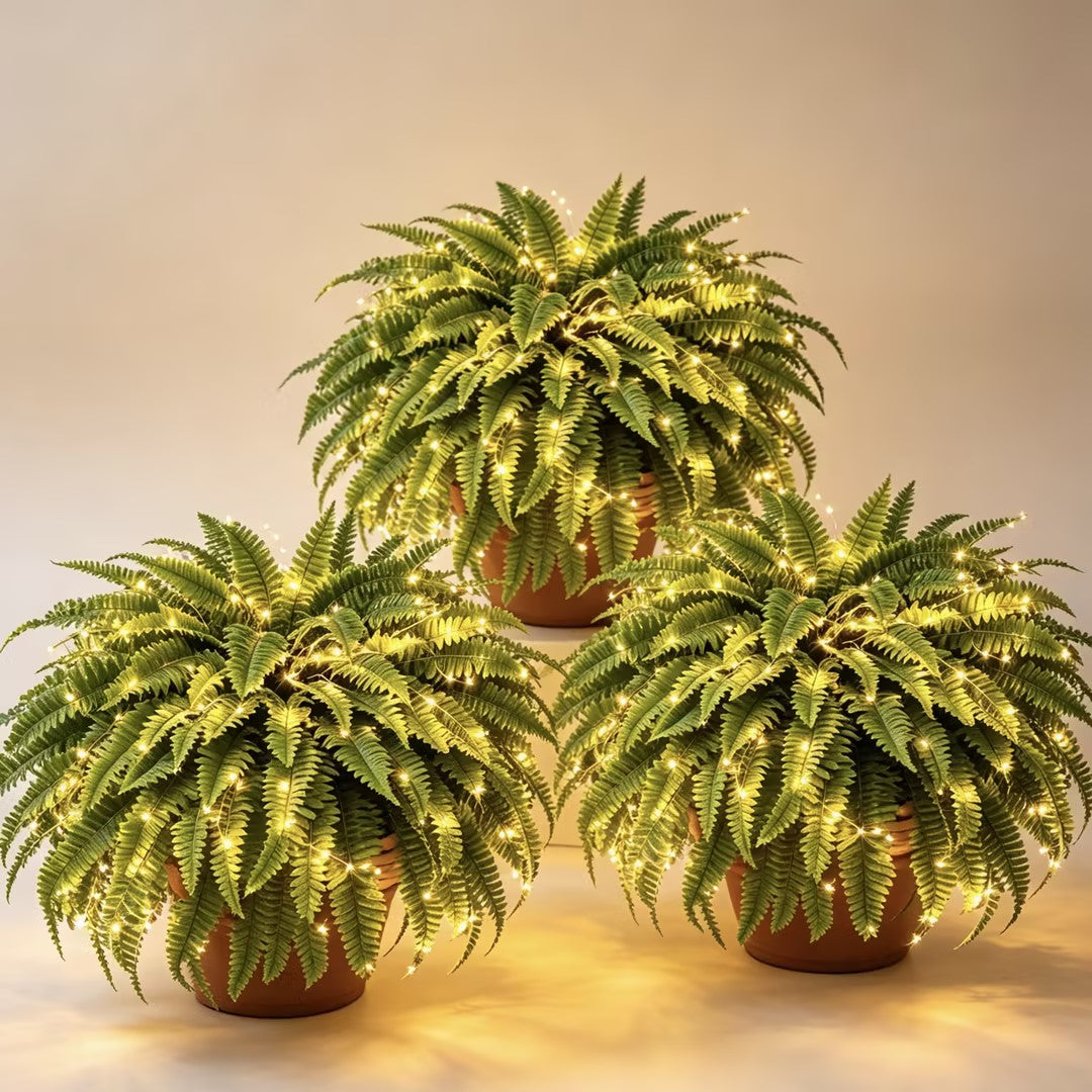 Artificial Boston Fern with Lights, view 12