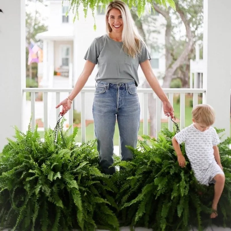 Artificial Boston Fern with Lights, view 8