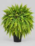 Artificial Boston Fern with Lights product photo
