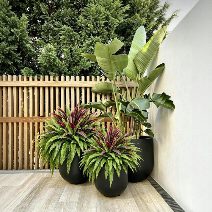 Artificial Fern and Red Dracaena, view 5