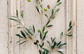 Artificial Olive Stems, Set of 3, view 1
