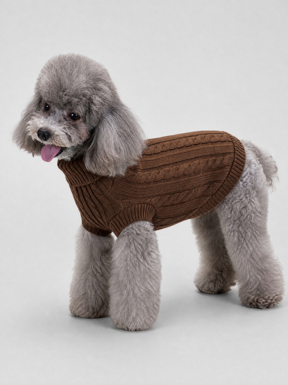 Cable Knit Turtleneck Dog Sweater, main photo