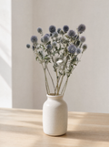 Dried Blue Globe Thistle Bunch, main photo