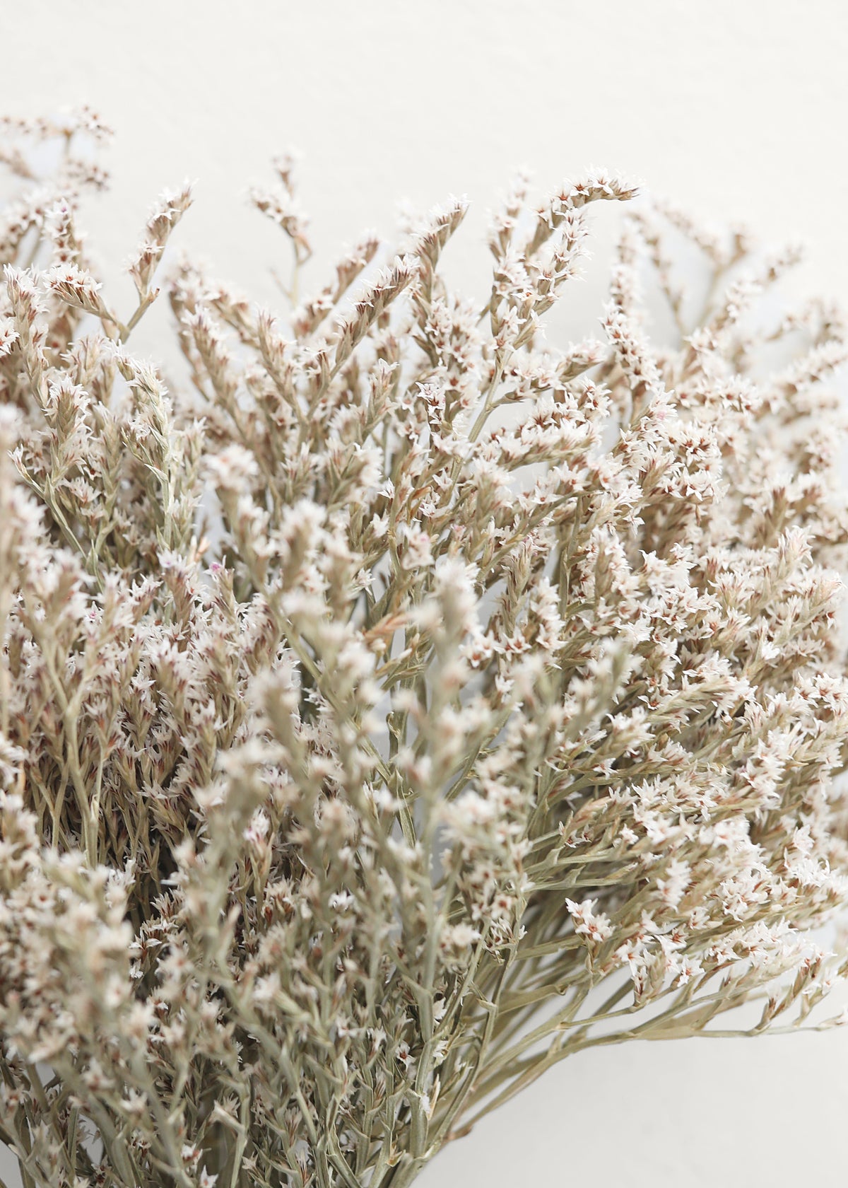 Dried White Statice Bunch, view 1