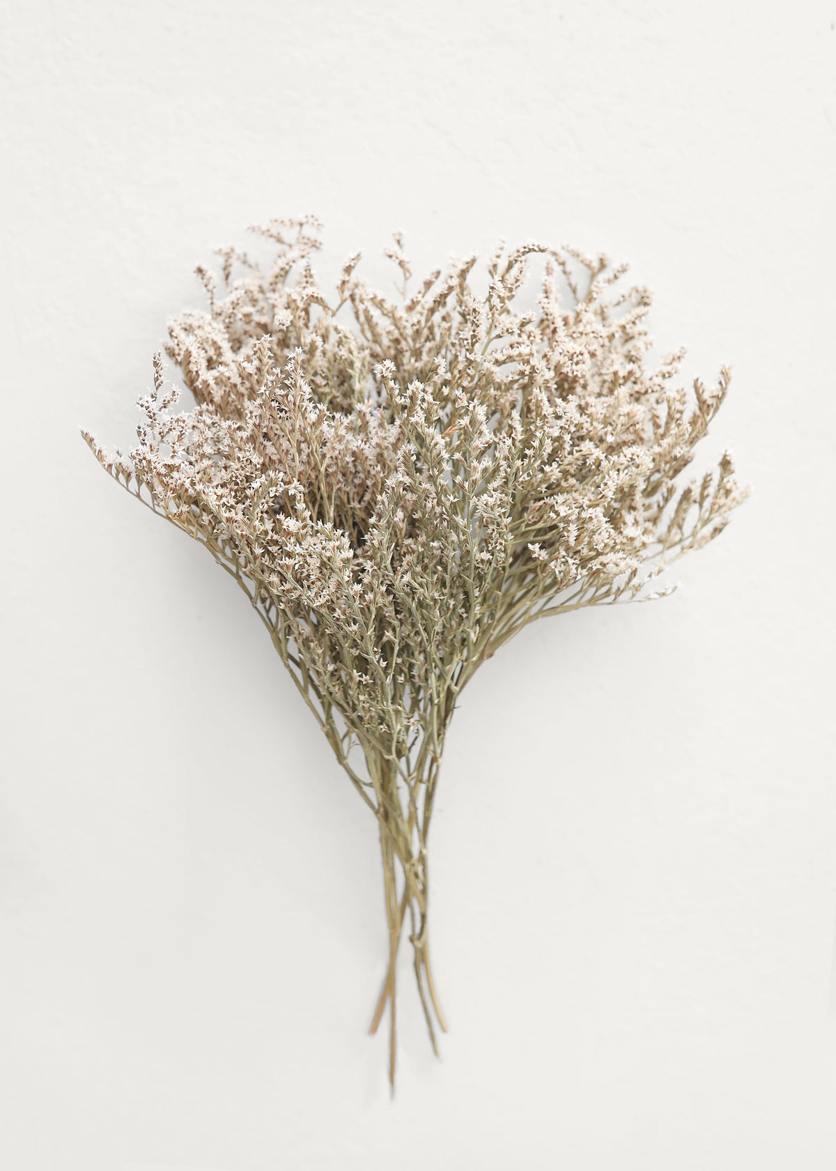 Dried White Statice Bunch, view 2