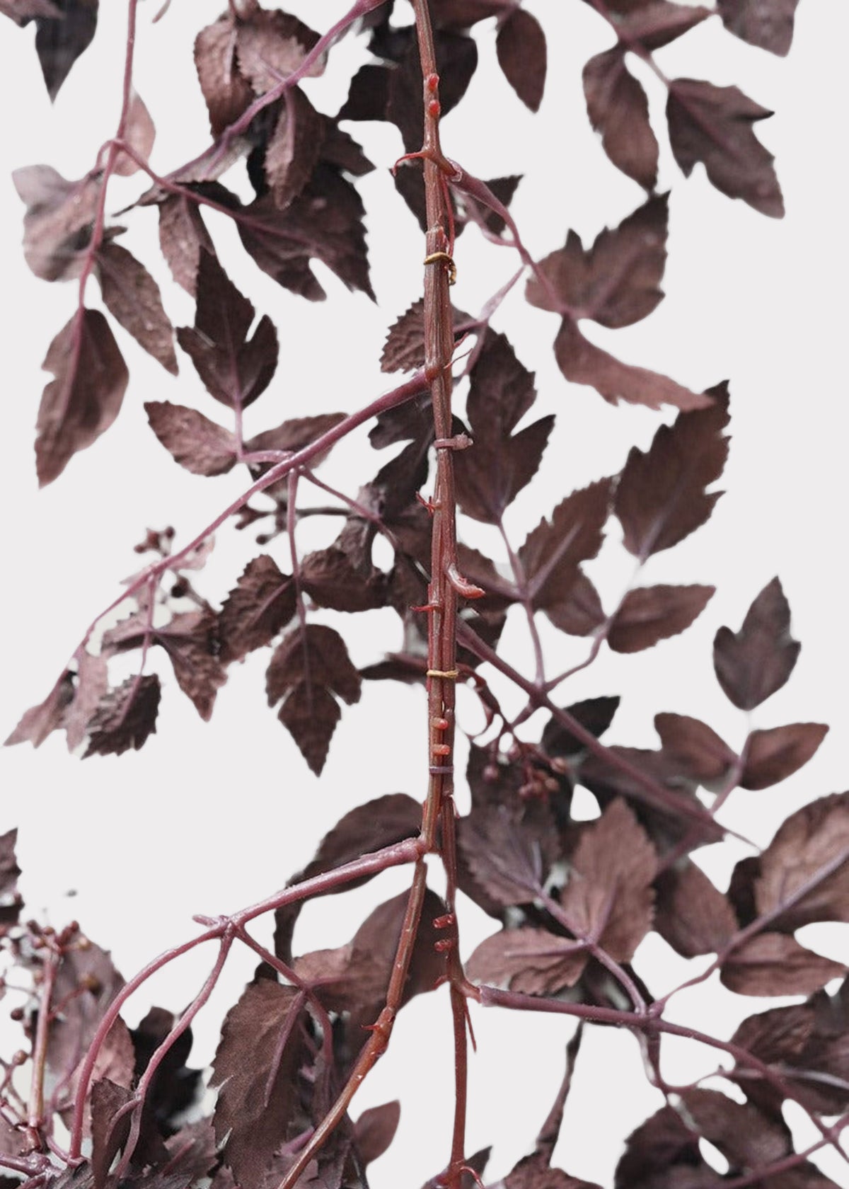 Faux Plum Leaf Garland 6 ft, view 4