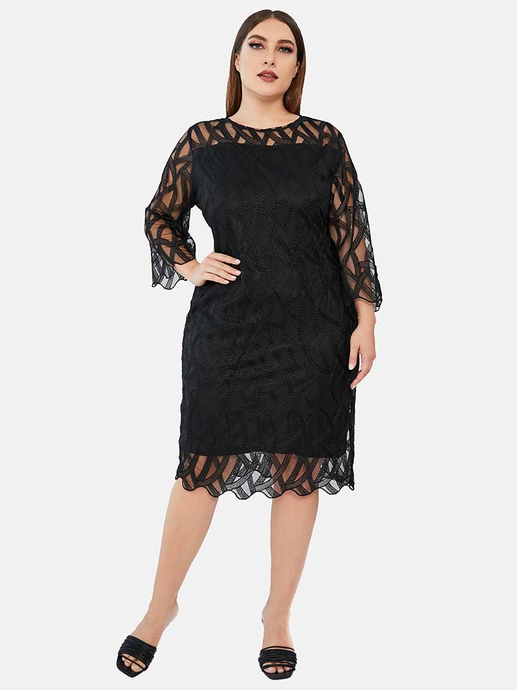Lace Panel Midi Sheath Dress, view 5