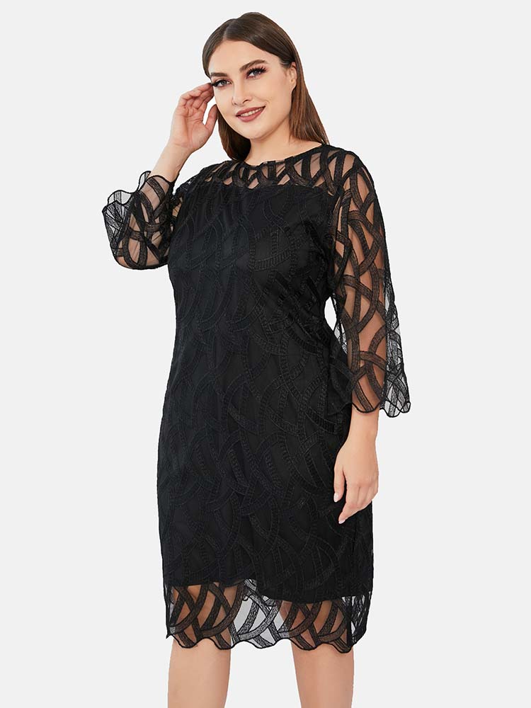 Lace Panel Midi Sheath Dress, view 7