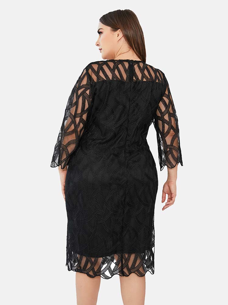 Lace Panel Midi Sheath Dress, view 8