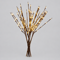 Lighted Willow Branches product photo