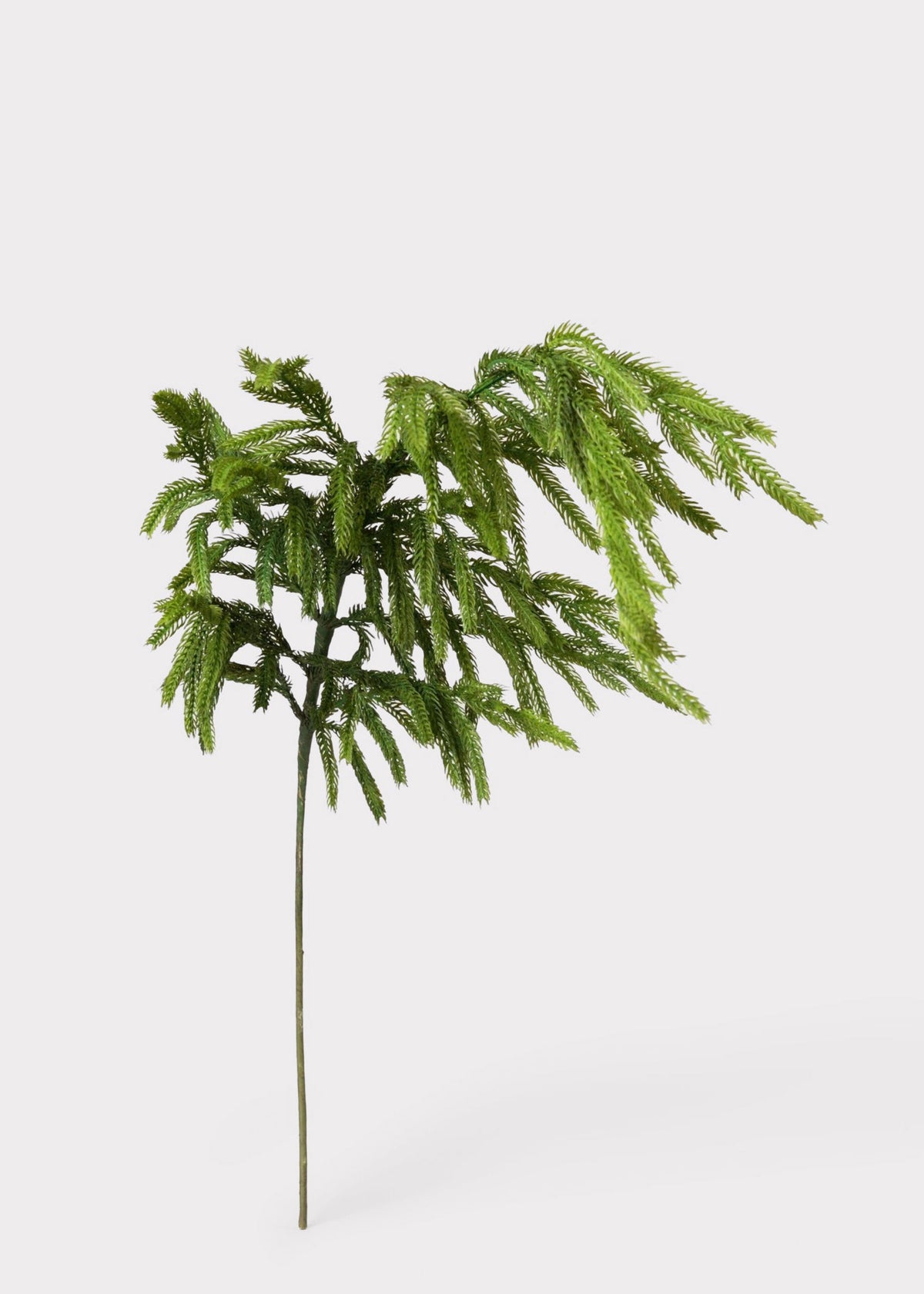 Real Touch Faux Pine Branch, view 5