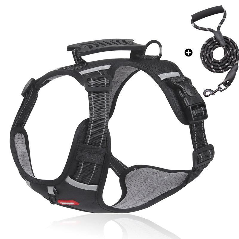 Reflective Dog Harness in black with rope