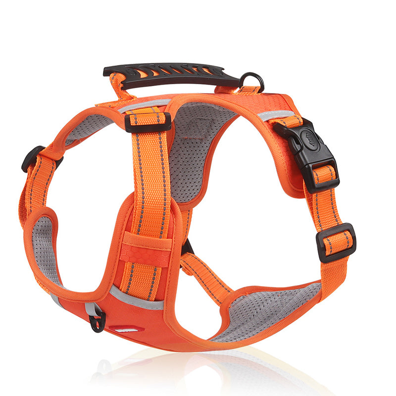 Reflective Dog Harness in orange without rope