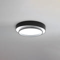 Ring Cylinder Ceiling Lamp, view 2